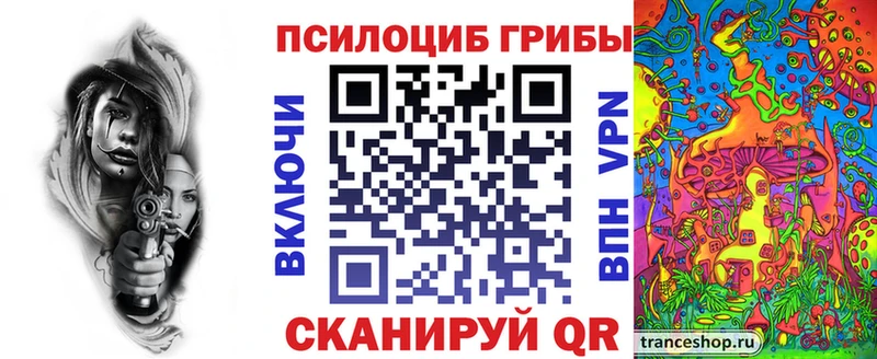 наркота  Суоярви  Псилоцибиновые грибы Psilocybe 
